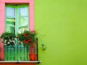 green-wall-window
